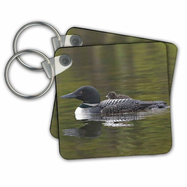 Loon Keychain Loon Keychain